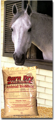barn dry stall bedding